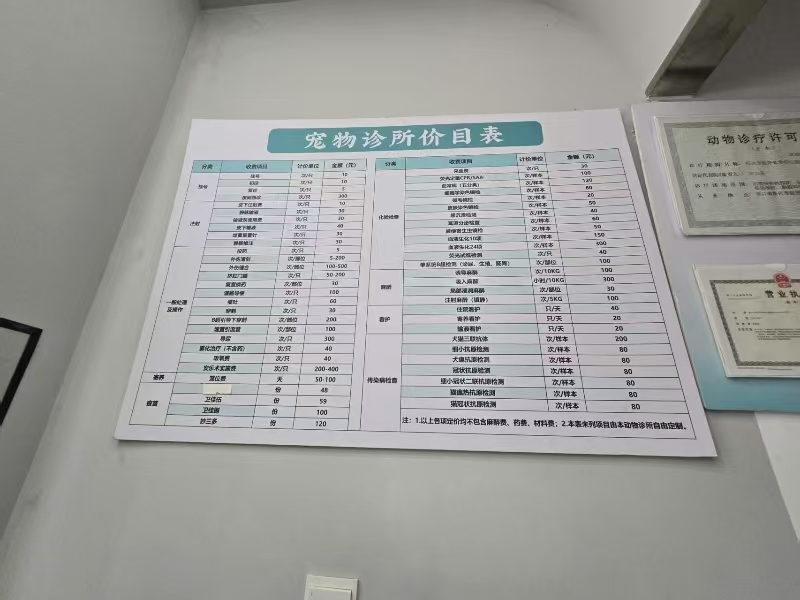 好运转（714）嘉兴南湖区万达旁边宠物店转让