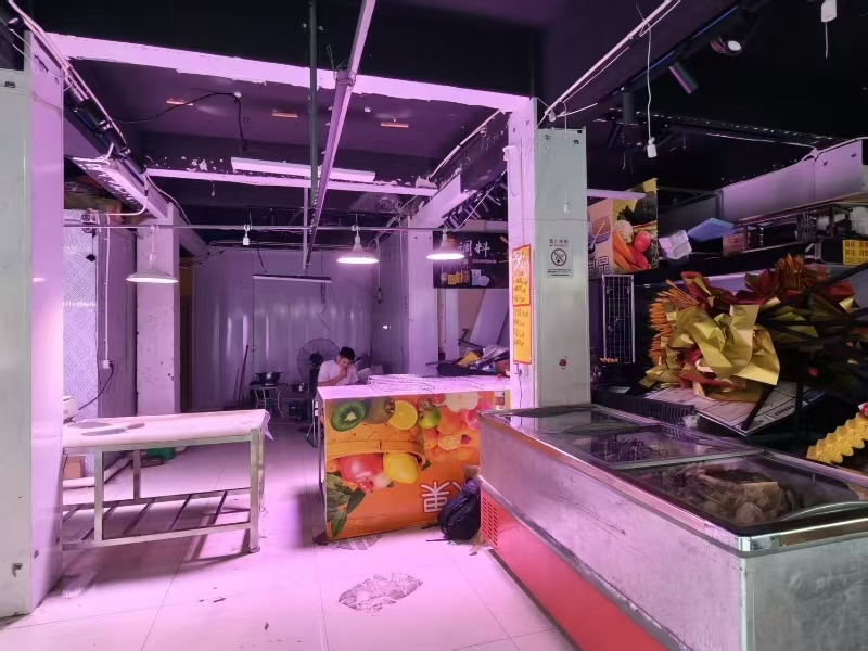 好运转（土猪肉旺铺出租）嘉善魏塘小学中学幼儿园对面旺铺出租