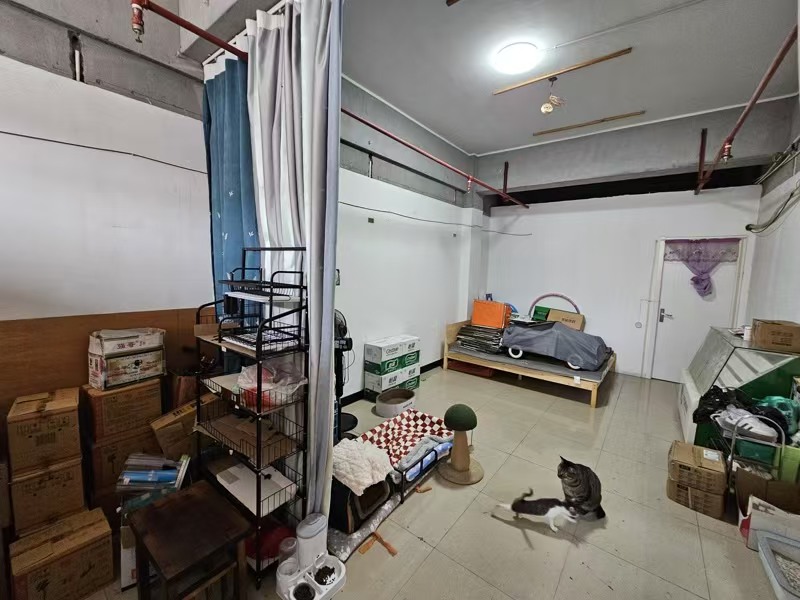 好运转(大民烟酒)菜场门口旁烟酒店转让、3000-4000/天